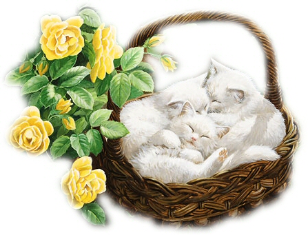 chats